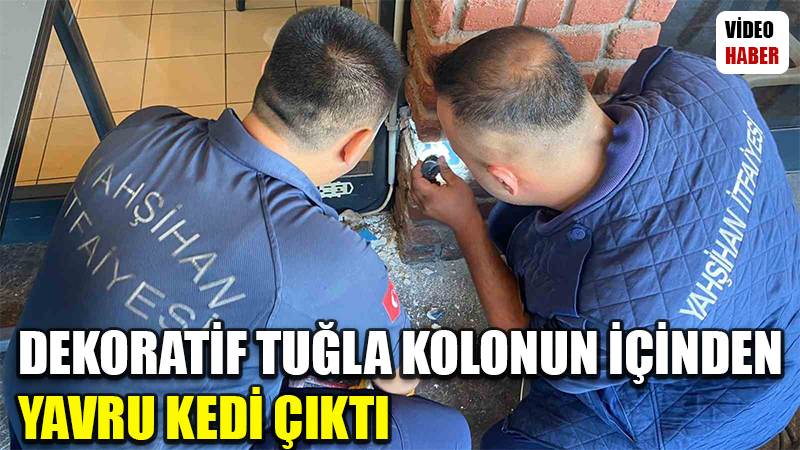 Dekoratif tuğla kolonun içinden yavru kedi çıktı