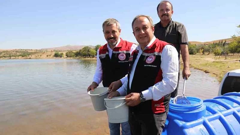 KAPULUKAYA BARAJINA 100 BİN YAVRU SAZAN BIRAKILDI