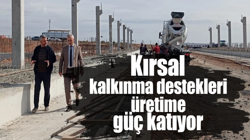 Kırsal kalkınma destekleri üretime güç katıyor