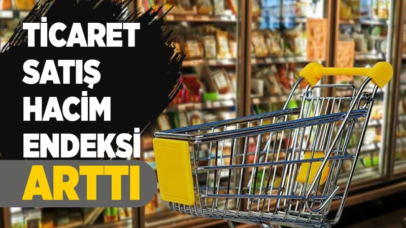 Ticaret satış hacim endeksi arttı