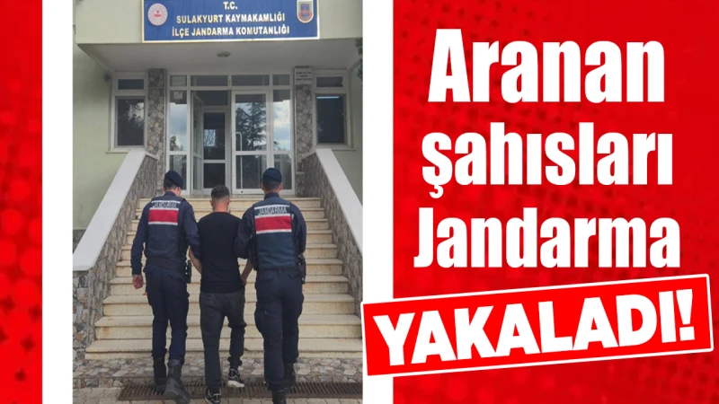 Aranan şahısları Jandarma yakaladı!