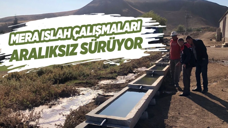 Mera ıslah çalışmaları aralıksız sürüyor