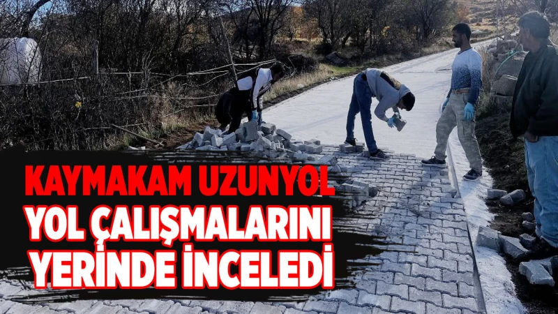 Kaymakam Uzunyol, yol çalışmalarını yerinde inceledi