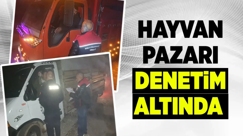 Hayvan pazarı denetim altında