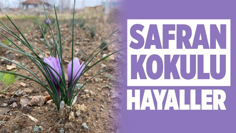 Safran Kokulu Hayaller Projesi karşılık buluyor