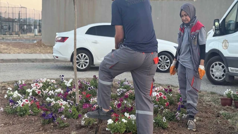 Millet Bahçesi’nde bakım çalışması yapılıyor