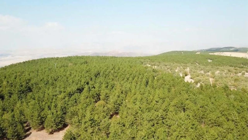 Kırıkkale daha önce bunu hiç yaşamamıştı!