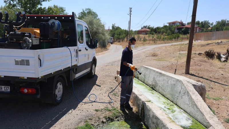 Kırıkkale’nin her yeri böceklere karşı ilaçlanıyor