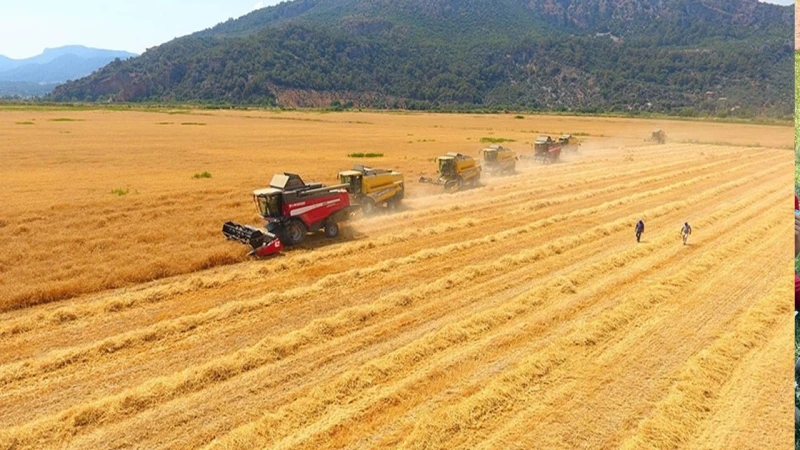 Tarımsal girdi fiyat endeksi arttı