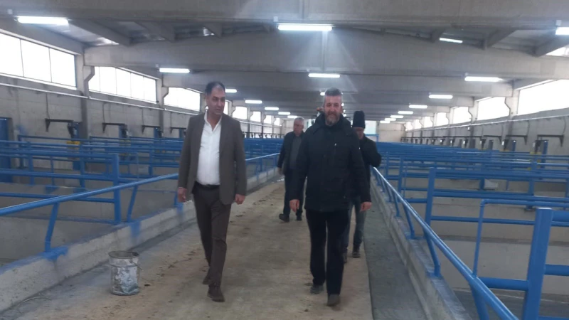 Keskin’e modern büyükbaş besi çiftliği kuruluyor