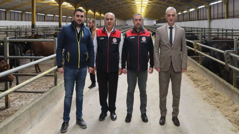 Balışeyh’te büyükbaş hayvancılığa yatırım