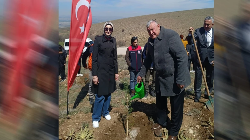 Çelebi’de fidanlar toprakla buluştu