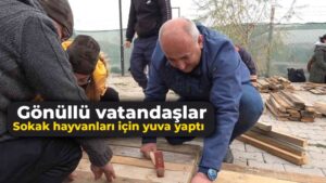 Gönüllü vatandaşlar sokak hayvanları için yuva yaptı