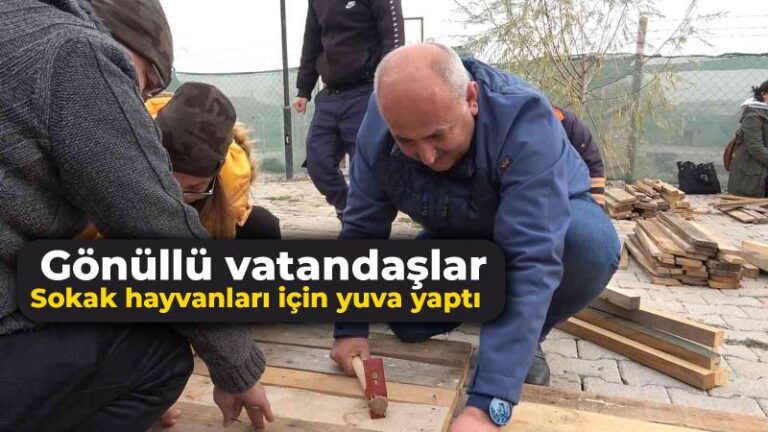 Gönüllü vatandaşlar sokak hayvanları için yuva yaptı