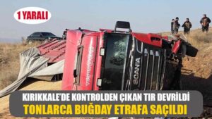 TIR DEVRİLDİ, TONLARCA BUĞDAY ETRAFA SAÇILDI:1 YARALI