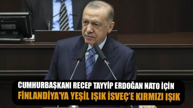 Cumhurbaşkanı Erdoğan: ‘Finlandiya konusunda olumluyuz ama İsveç konusunda değiliz’