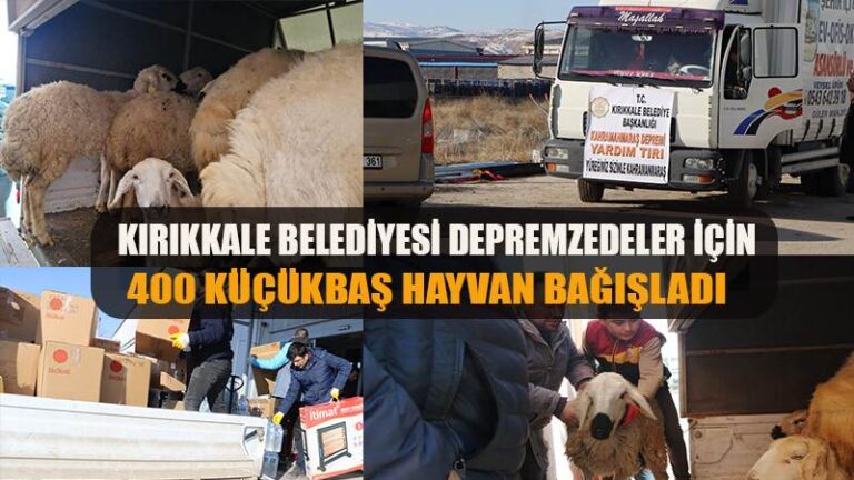 Tek Tek Toplanan Koyunlar Depremzedelere Ulaşacak