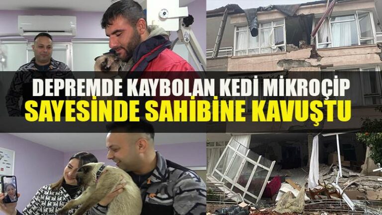 Depremde kaybolmuştu, mikroçip sayesinde ’Paşa’nın sahibi bulundu