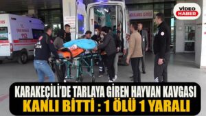 KARAKEÇİLİ’DE TARLAYA GİREN HAYVAN KAVGASI KANLI BİTTİ 1 ÖLÜ 1 YARALI