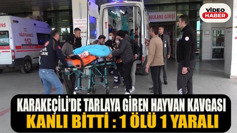 KARAKEÇİLİ’DE TARLAYA GİREN HAYVAN KAVGASI KANLI BİTTİ 1 ÖLÜ 1 YARALI
