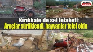 Kırıkkale’de sel felaketi: Araçlar sürüklendi, hayvanlar telef oldu