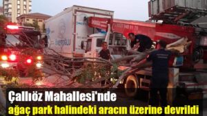 Çallıöz Mahallesi’nde ağaç park halindeki aracın üzerine devrildi