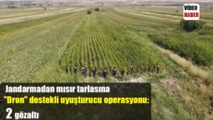 Jandarmadan mısır tarlasına “Dron” destekli uyuşturucu operasyonu: 2 gözaltı
