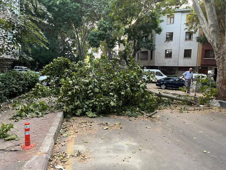 Ankara’da fırtına etkili oldu, ağaçlar araçların üzerine devrildi