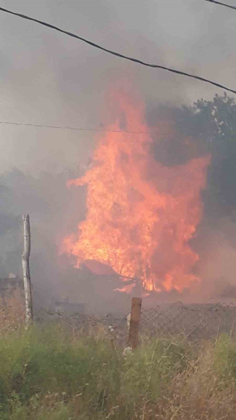 Ankara’da kırsal alanda korkutan yangın