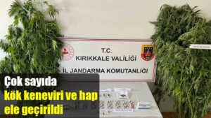 Çok sayıda kök keneviri ve hap ele geçirildi