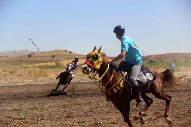 Sivas’ta ata sporu cirit heyecanı