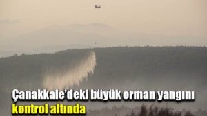 Çanakkale’deki büyük orman yangını kontrol altında