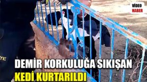 Demir korkuluğa sıkışan kedi kurtarıldı