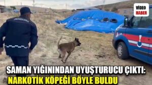 Saman yığınından uyuşturucu çıktı: Narkotik köpeği böyle buldu