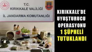 Jandarmanın yaptığı uyuşturucu operasyonunda 1 şüpheli tutuklandı