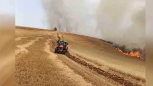 KARAAHMETLİ KÖYÜNDE BUĞDAY TARLASINDA YANGIN!