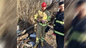 Kuyuya düşen minik dostları itfaiye kurtardı