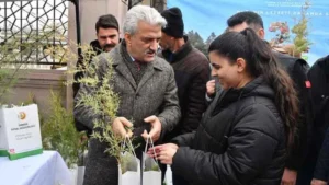 Ormanlar, doğanın ve hayatın kalbidir