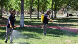 Park ve yeşil alanlarda çevre dostu ilaçlama çalışması
