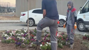Millet Bahçesi’nde bakım çalışması yapılıyor