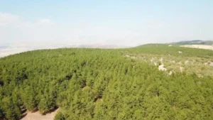 Kırıkkale daha önce bunu hiç yaşamamıştı!