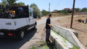 Kırıkkale’nin her yeri böceklere karşı ilaçlanıyor