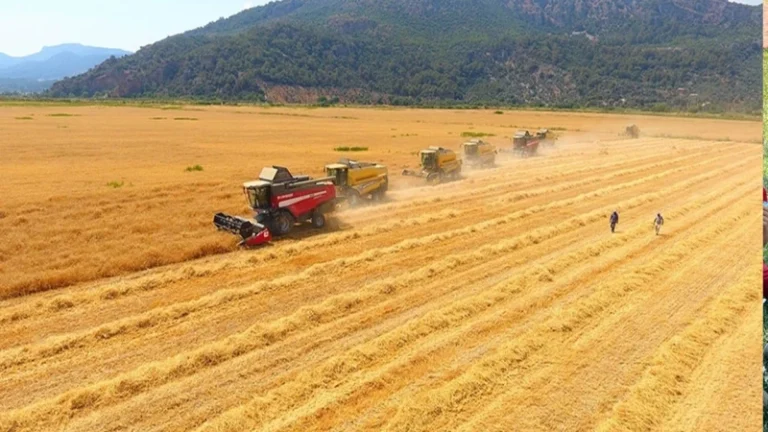 Tarımsal girdi fiyat endeksi arttı