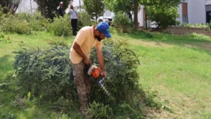 Yeşil alanlara estetik dokunuş