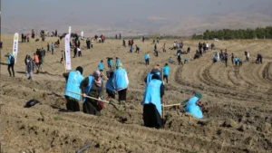 TDV’den “1 İyilik 1 Fidan” Projesiyle Fidan Seferberliği