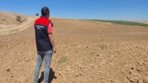 İşlenmeyen tarım arazileri üretime kazandırılıyor