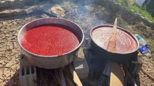 Kırıkkale’de kışlık salçalık hazırlıkları başladı