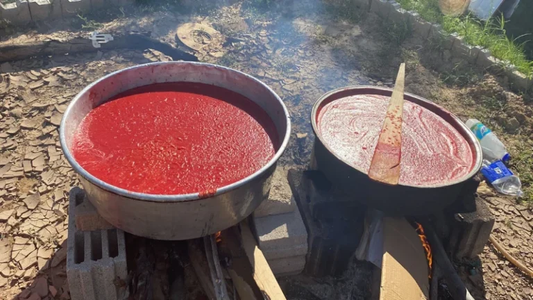 Kırıkkale’de kışlık salçalık hazırlıkları başladı