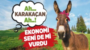 Kırıkkale’de sosyal medya ‘Karakaçan’ı konuşuyor