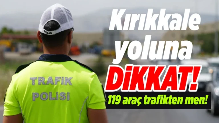 119 araç trafikten men edildi